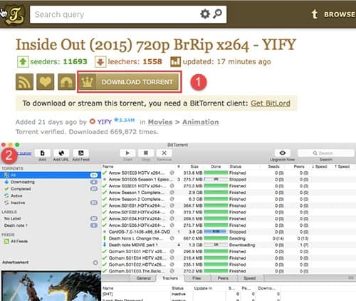Mac os 64 bit download torrent windows 10
